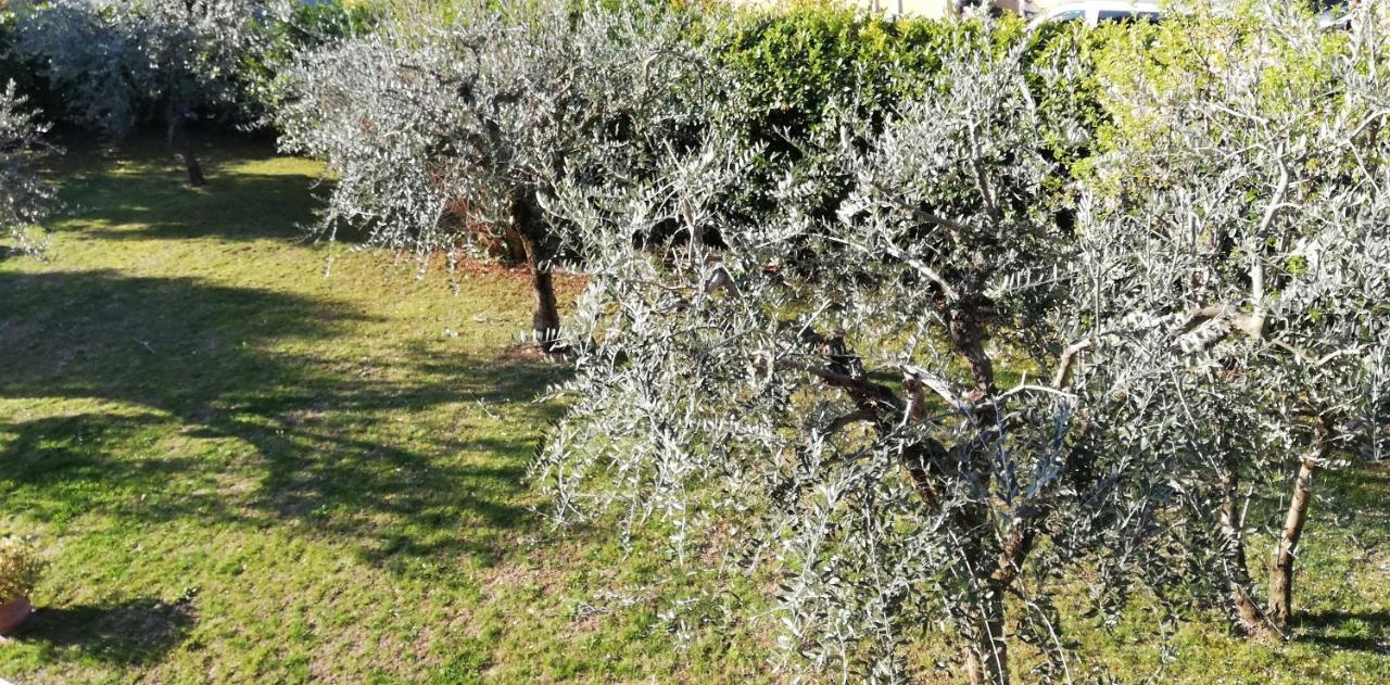 가르다 Il Melograno B&B 외부 사진